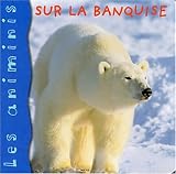 Sur la banquise