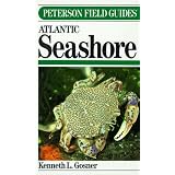 Field Guide to the Atlantic Seashore from the Bay of Fundy to Cape Hatteras (Peterson Field Guide Series)