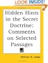 Hidden Hints in the Secret Doctrine: Comments on Selected Passages