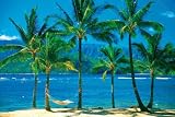 Clementoni - Puzzle - The Hawaian Paradise