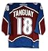 Alex Tanguay Colorado Avalanche Autographed Burgundy Jersey