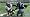 Madden NFL 09