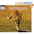 Red Kangaroo (Welcome Books)