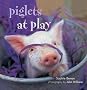 Piglets @ Play (At Play)