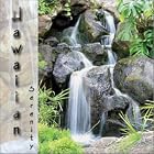 Hawaiian Serenity by Daniel Ho Creations