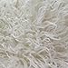 Fake Faux Fur Curly Alpaca 58 Inch Wide Fabric by The Yard (F.E. (White)