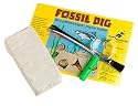 Dig Real Fossils Kit