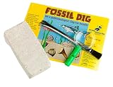 Dig Real Fossils