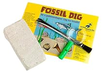 Dig Real Fossils Kit