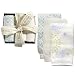 Apparel : BabyLegs Sky Gift Set of 3 Boxed (Cream Ribbed, White Burst, Seer Sucker) Leg Warmers