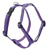 Jelly Roll - Lupine Adjustable Roman Style Harness 3/4 in. x 12 in. x 20 in.