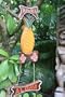 PINEAPPLE WELCOME SIGN "HAWAII, ALOHA" - 24" WALL HANGING