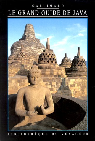 City Travel Guides Discounted  Livres : Le Grand Guide de Java 1996