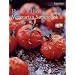 Recipe books with impressive vegan recipes