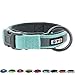Pawtitas Lumberjack Padded Martingale Collar for Dogs | Soft Neoprene Dog Collar for Your pet's Comfort Made with Reflective Band for Maximum Visibility | Fits Small and Large Pets - Small Teal