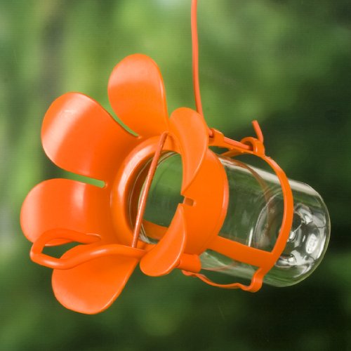 Songbird Essentials SEBCO212 Jelly Bird Feeder