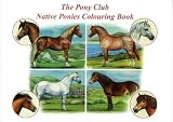 The Pony Club Native Ponies Colouring Book