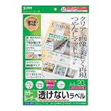 SANWA SUPPLY カラーレーザー下地が透けないラベル 20枚 LB-ELM03
