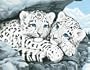 Dimensions Medium Traditional Designs Snow Leopard Cubs