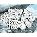 Dimensions Medium Traditional Designs Snow Leopard Cubs