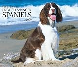 English Springer Spaniels, For the Love of 2009 Deluxe Wall Calendar (Multilingual Edition)