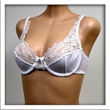 Orlfa : Orlfa $89 White Sheer Stretchy Lace Bra #0376 sz 36A