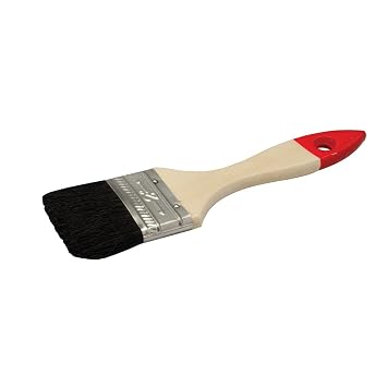 Disposable Paint Brushes