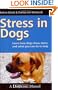 Stress in Dogs