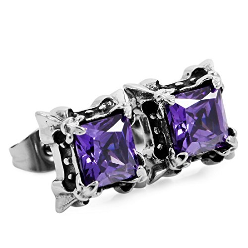 Men's Stainless Steel Stud Earrings CZ Silver Black Purple Dragon Claw Square Vintage