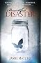 Beautiful Disaster