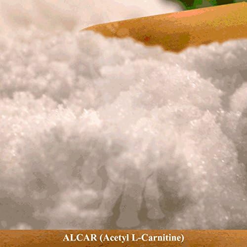 Pure ALCAR (Acetyl L-Carnitine) Bulk Powder (1 Kilogram)