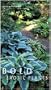 Bold and Exotic Plants: Using Form and Shape to Create Visual Impact in the Garden