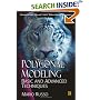 Polygonal Modeling: Basic and Advanced Techniques (Worldwide Game and Graphics Library)