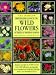 Wild Flowers of Britain and Europe