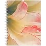 Amaryllis Collection Wire-O Bound Journal (Potter Style)