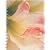 Amaryllis Collection Wire-O Bound Journal (Potter Style)