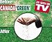 Canada Green Lawn Grass Mixture