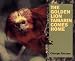 The Golden Lion Tamarin Comes Home