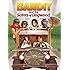 Bandit and the Saints of Dogwood