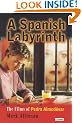 A Spanish Labyrinth: The Films of Pedro Almodovar