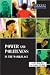 Power and Politeness in the Workplace (Real Language Series)