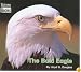 The Bald Eagle (American Symbols)