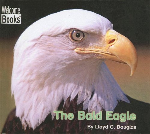 American Eagle
