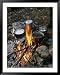 Cooking over a Campfire on the Middle Fork of the Feather River Framed Art Poster Pri...