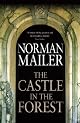 The Castle in the Forest: A Novel