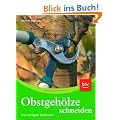 Obstgeh�lze schneiden: Die richtigen Techniken