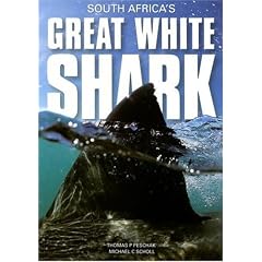 South Africa's Great White Shark