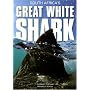 South Africa's Great White Shark