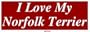 I Love My Norfolk Terrier Large Bumper Sticker