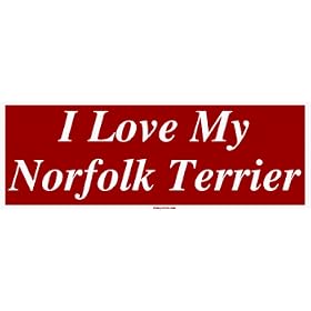I Love My Norfolk Terrier Large Bumper Sticker